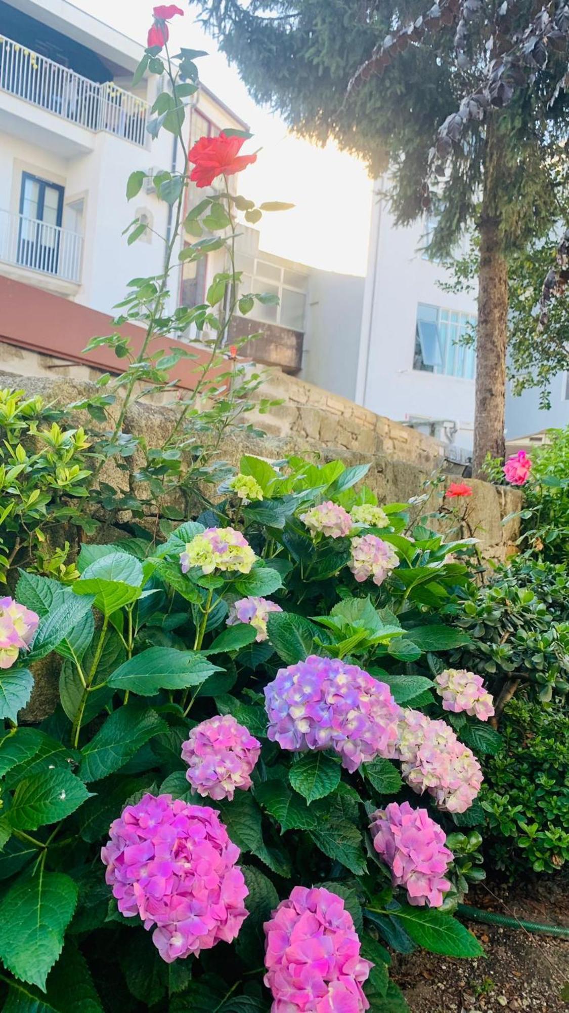 Invicta Porto Guest House Exterior photo